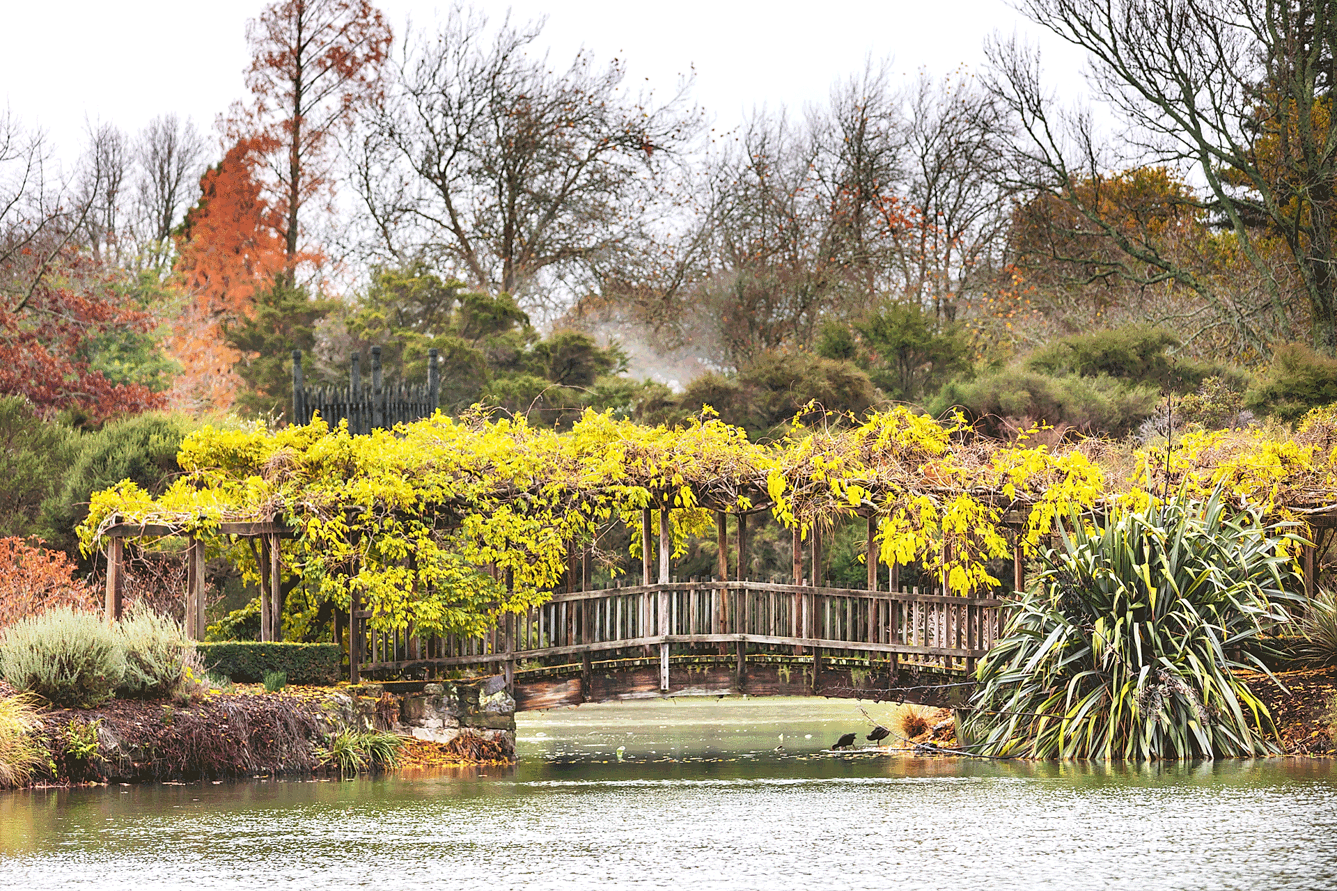 Bahçenizi Eskişehir'in İklimine Uygun Nasıl Düzenlersiniz?