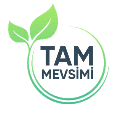 Tam Mevsimi